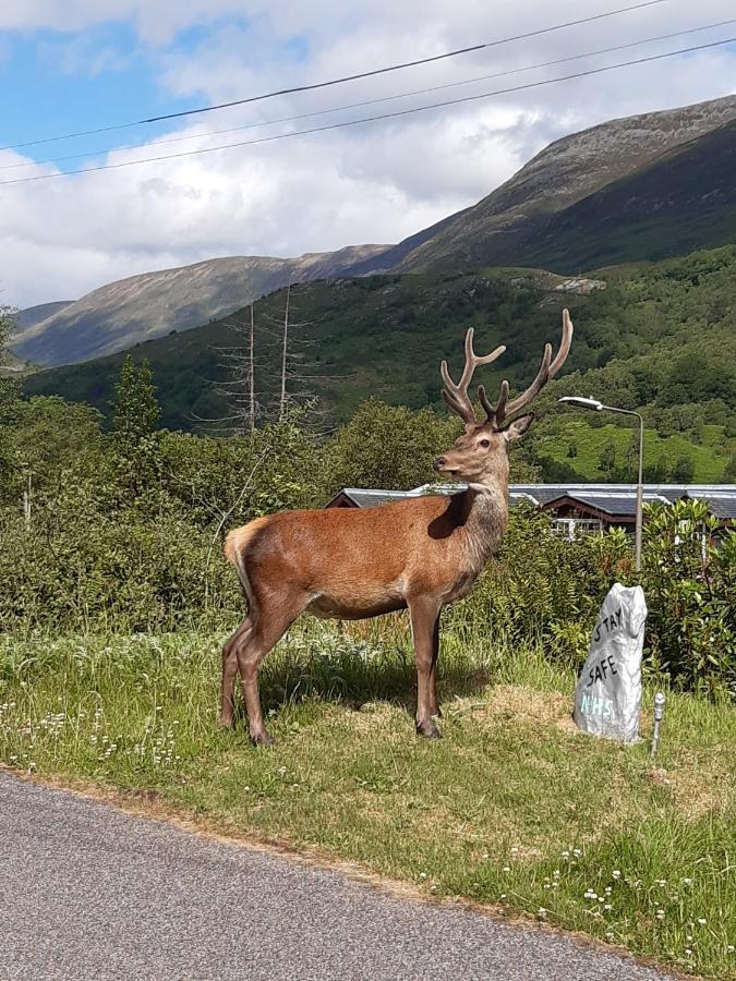Etive Pod, West Highland Way Holidays Kinlochleven Exterior foto